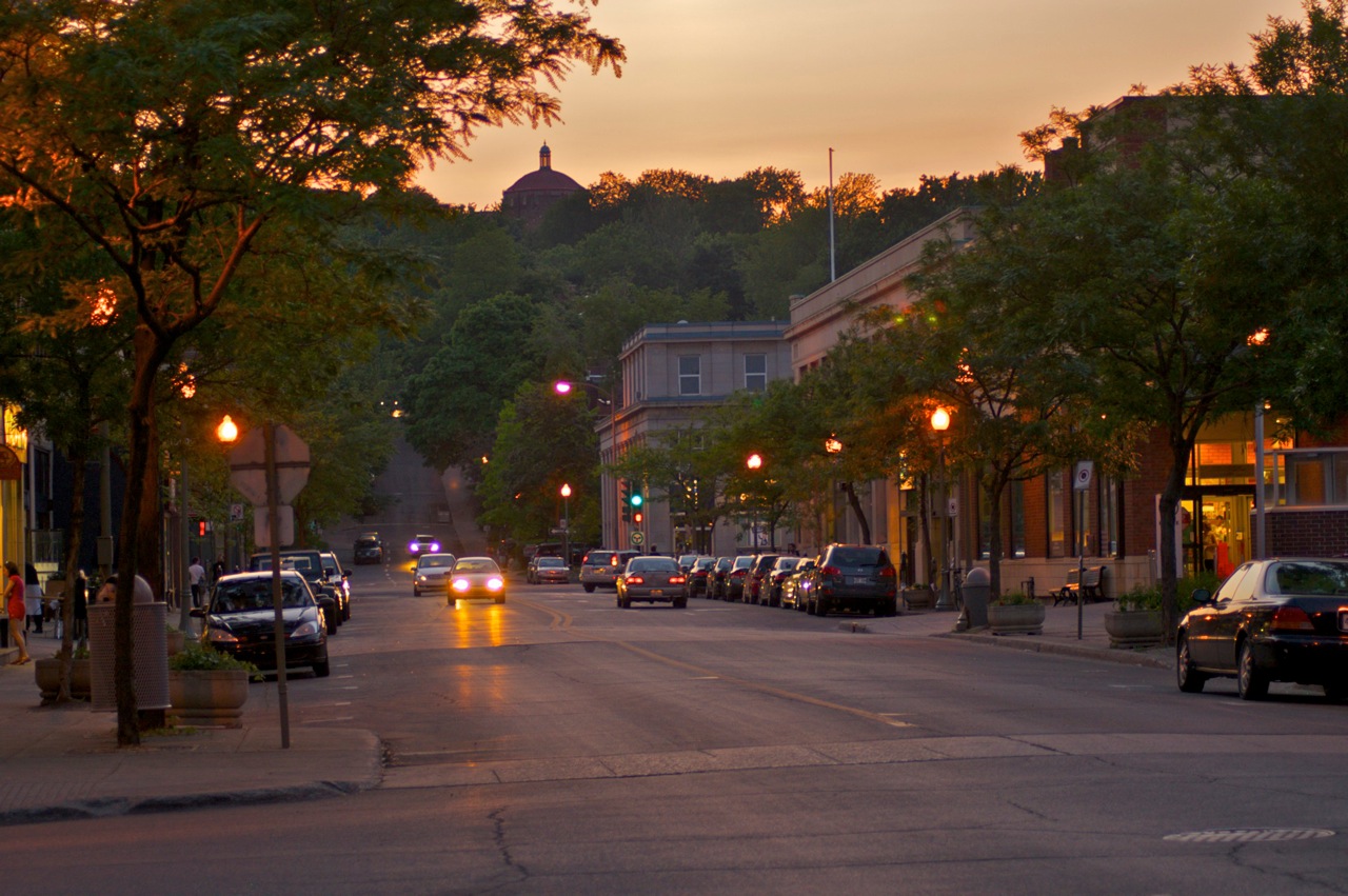 Avenue Greene à Westmount avec alignement d’arbres de rue.