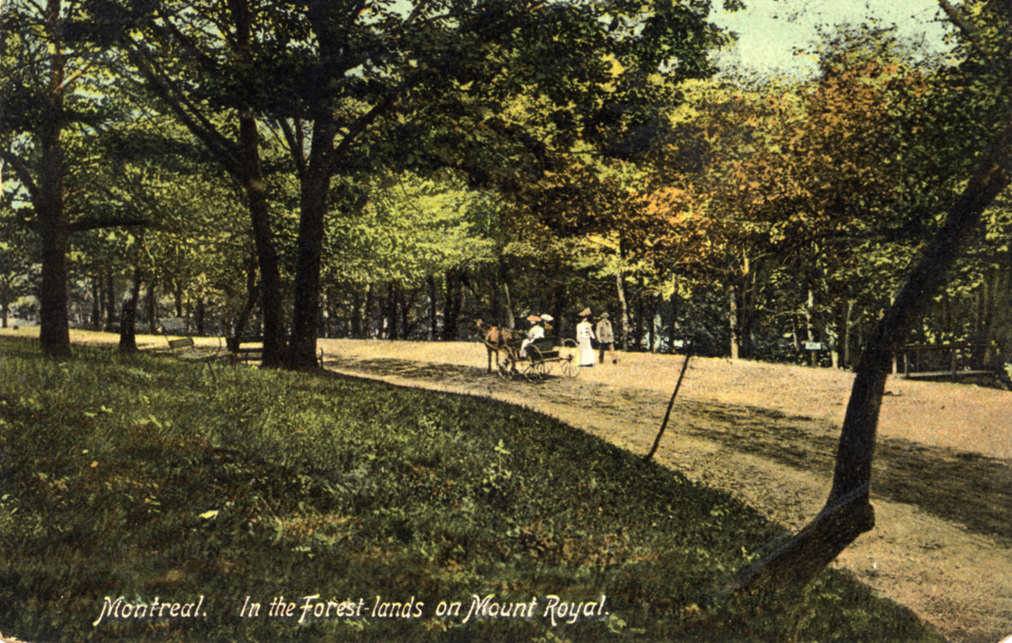 "Montreal. In the Forest lands on Mount Royal." Promeneurs sur le chemin du parc du Mont-Royal. Carte postale.