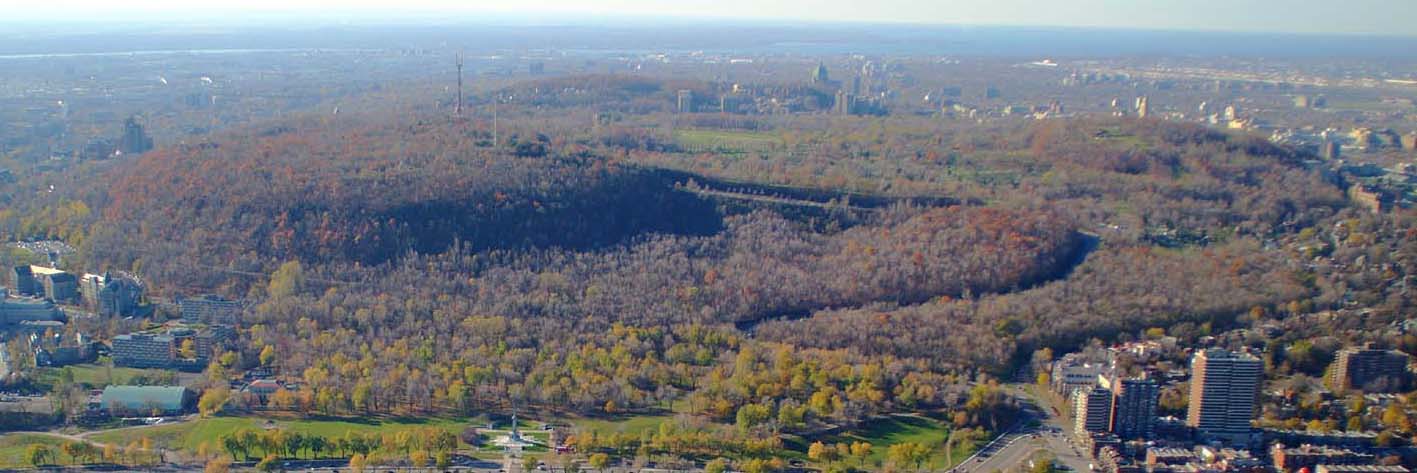 L’escarpement abrupt du côté est qui accentue l’effet de montagne.