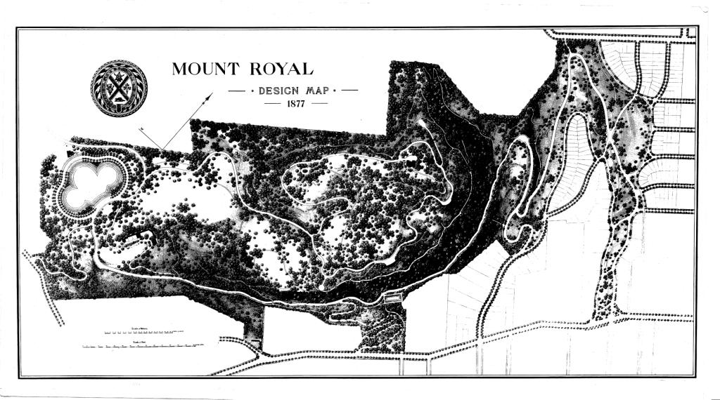Plan du parc du Mont-Royal dessiné par Frederick Law Olmsted en 1877.